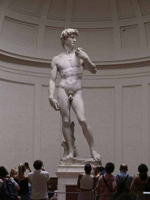 David by Michelangelo (Detail), Florence, Galleria dell'Accademia, 1501-1504