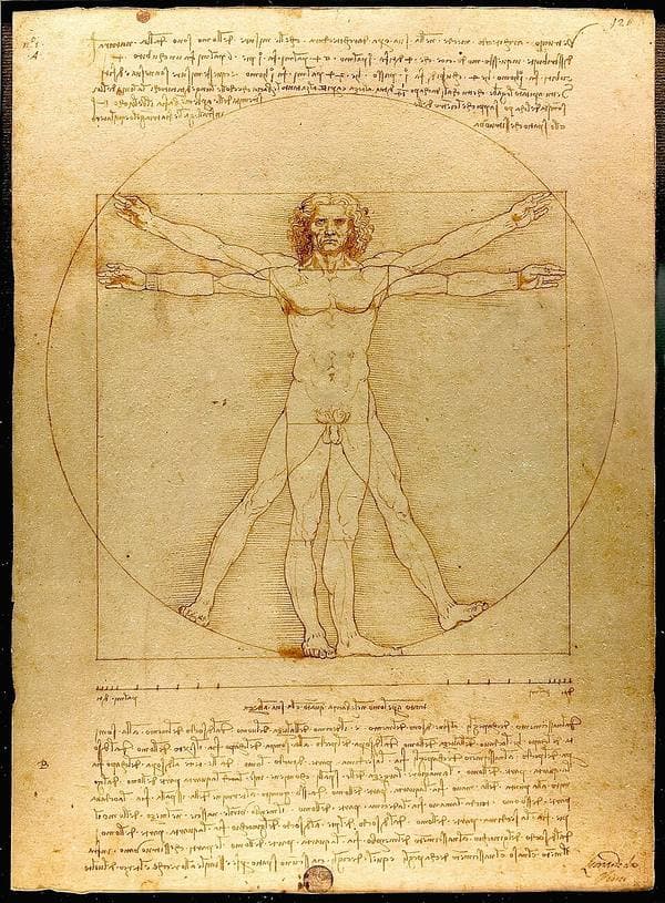 Leonardo da Vinci: o gênio do Renascimento italiano | Arte &amp; Historia
