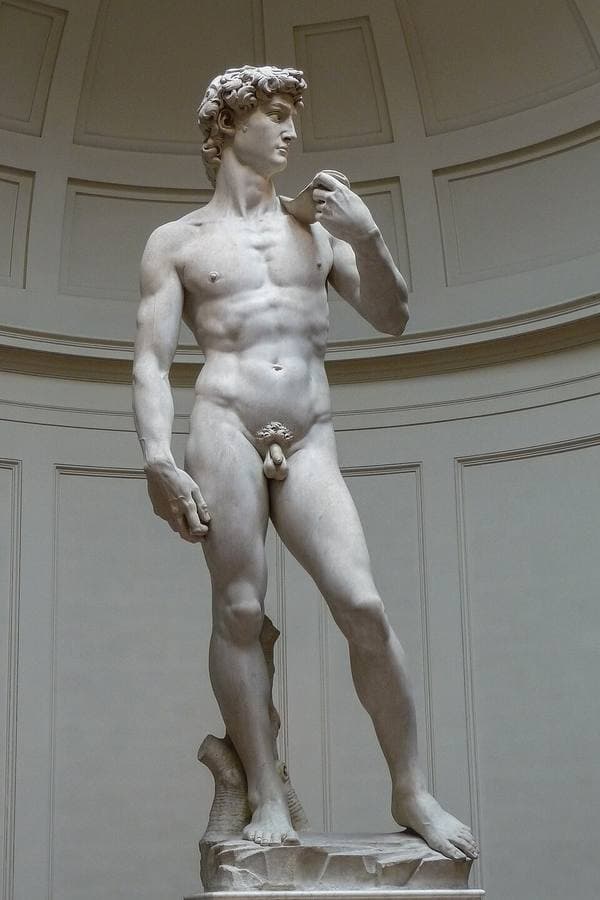 michelangelo-body-1-1.jpg