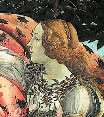 O Nascimento de Vênus Renaissance painting